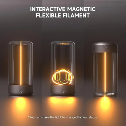 Quantum Light